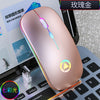 Wireless Computer Mouse