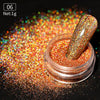 Holographics Nail Powder Glitter