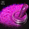 Holographics Nail Powder Glitter