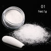 Holographics Nail Powder Glitter