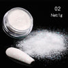 Holographics Nail Powder Glitter