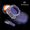 Holographics Nail Powder Glitter