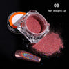 Holographics Nail Powder Glitter