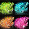 Holographics Nail Powder Glitter