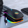 Wireless Computer Mouse