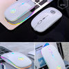 Wireless Computer Mouse