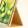 Touchpad Keyboard For iPad